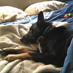 Meet your Posher, Esteban